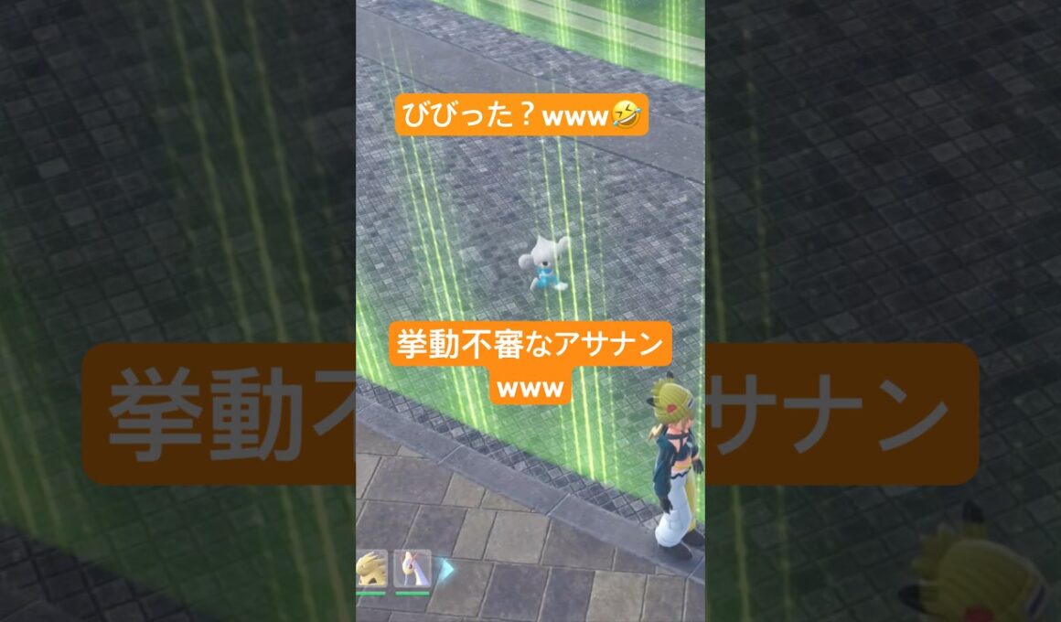 【ポケモンZA】猛ダッシュで逃げるアサナンwww🤣 #ポケモン  #ポケモンza  #ポケモンレジェンズza  #pokemon  #バグ  #爆笑 #チャンネル登録お願いします