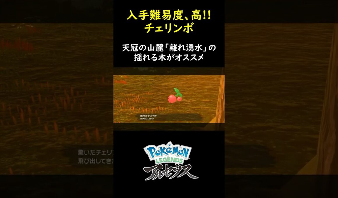 【ポケモンレジェンズ アルセウス】チェリンボ捕獲のオススメ場所