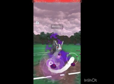 Sグラエナ使ってみる😤