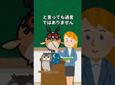 ヨルノズク講座 #かわいい #pokemon  #ポケモン #大谷翔平