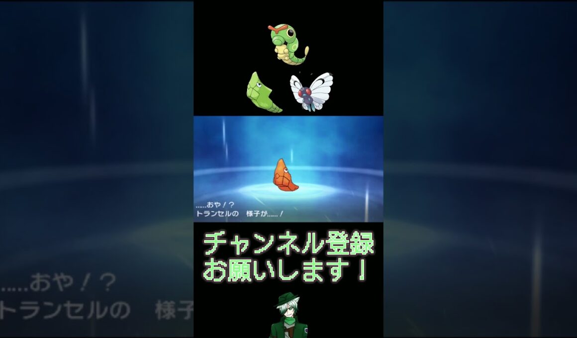 【色違い】#4 キャタピー系統編【30th】