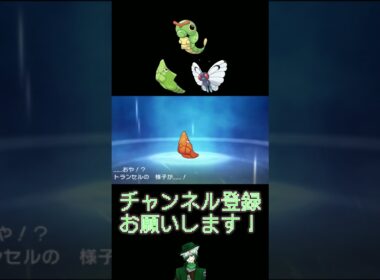 【色違い】#4 キャタピー系統編【30th】