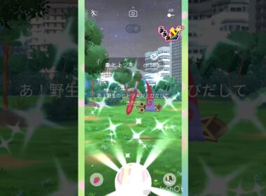 めがカイリュー🌊°∵○からの～⁉️🐟✩°｡⋆ヒトツキ⚔️ﾟ🌊 #pokemongo