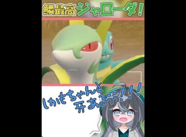 質感分かると更に愛しさ増します！鱗最高！！！！#shorts #ジャローダ #ポケモン #ポケモンsv #ゲーム実況 #巳國しの