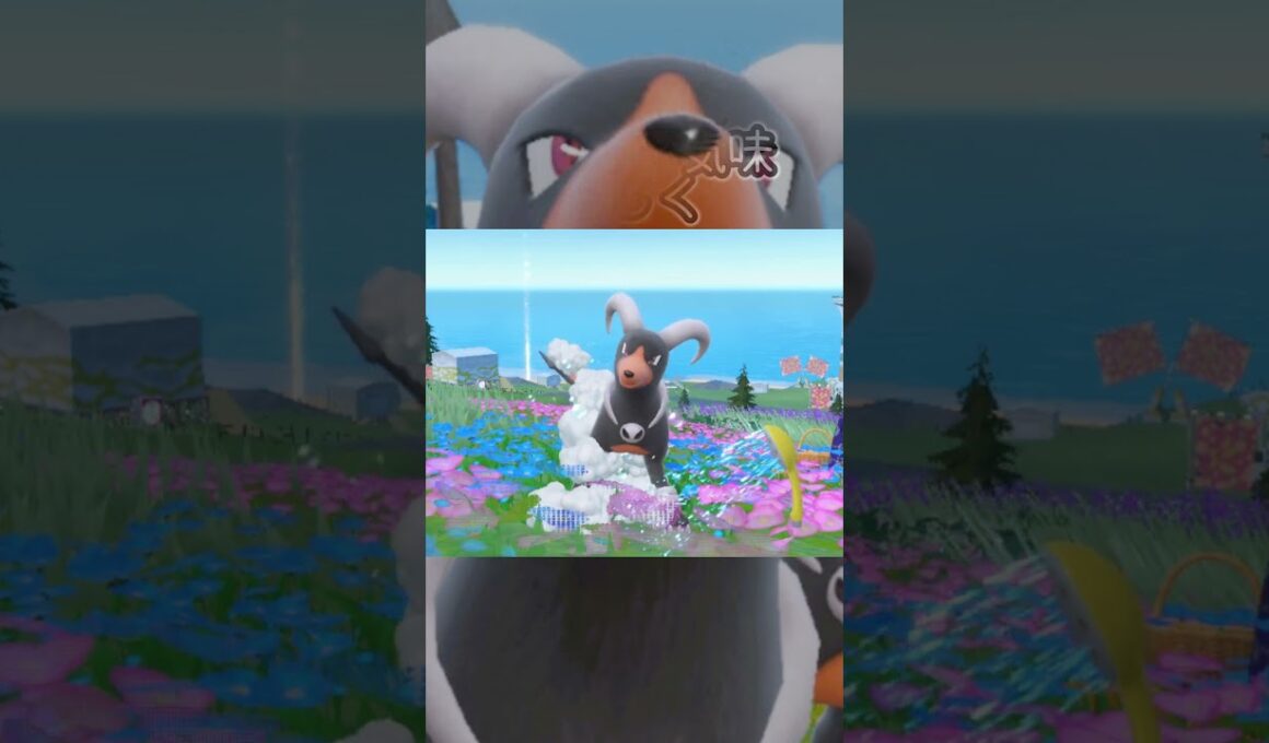 ヘルガー6匹とピクニック【ポケモンSV】#Shorts