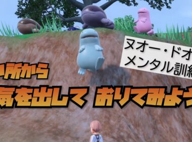 ヌオーとドオーのメンタル訓練！「勇気を出して高い所からおりてみよう！」【ポケモンSV】