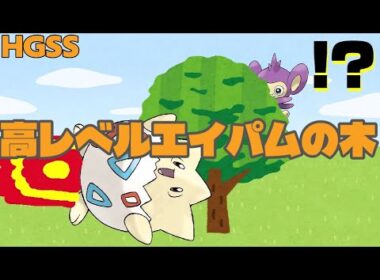 【ポケモンHGSS】一番高レベルのエイパムが出る木