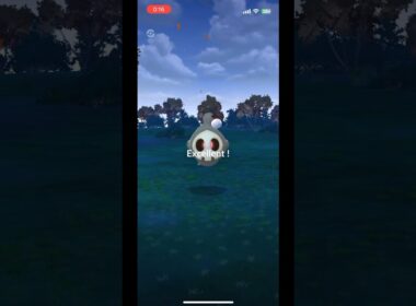 【ポケモンGO】ヨマワルにエクセレントスロー！