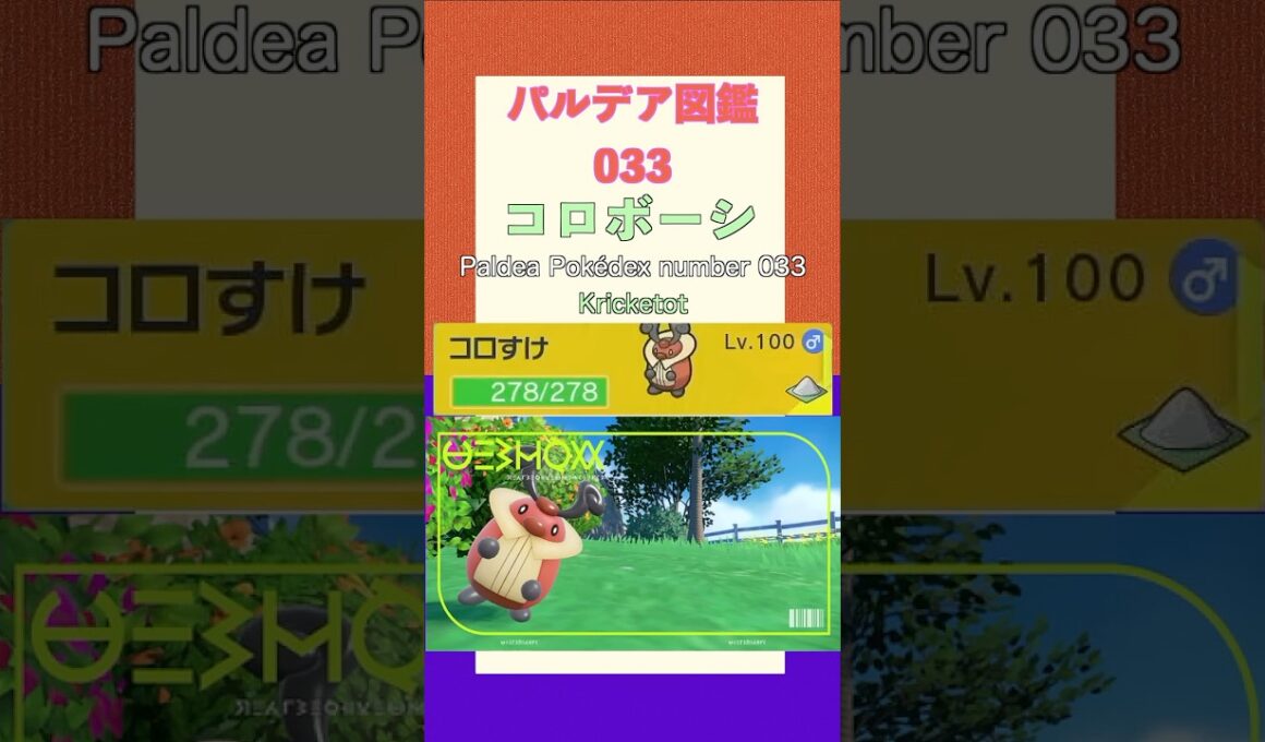 ポケモンSV パルデア図鑑033　コロボーシ　レベル100 #shorts