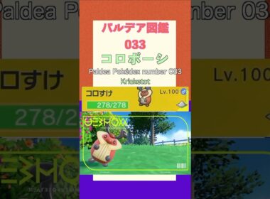 ポケモンSV パルデア図鑑033　コロボーシ　レベル100 #shorts