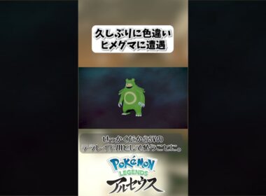 久しぶりに色違いヒメグマに遭遇【legendsarceus】 #shorts #legendsarceus #ヒメグマ #ガチグマ #色違い #テラレイドバトル