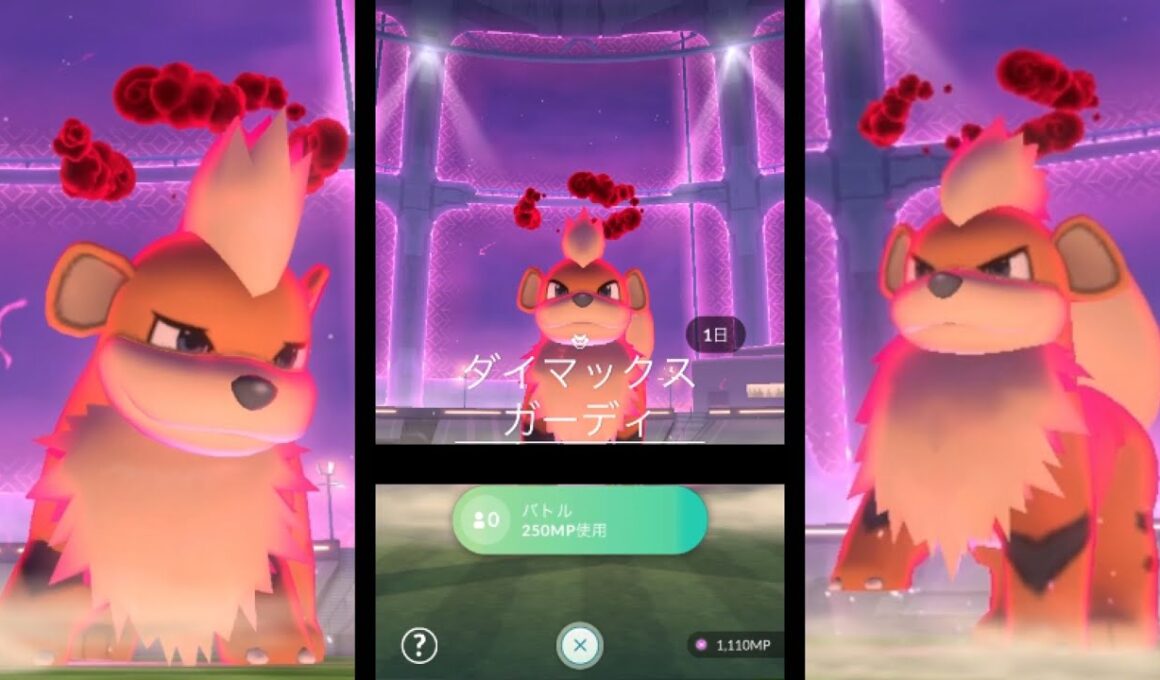 【今日から新実装】星1ダイマックスガーディをダイマせずに高速討伐【ポケモンGO】