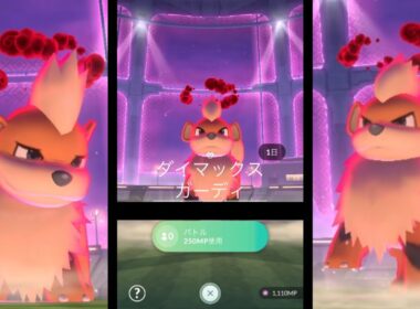 【今日から新実装】星1ダイマックスガーディをダイマせずに高速討伐【ポケモンGO】