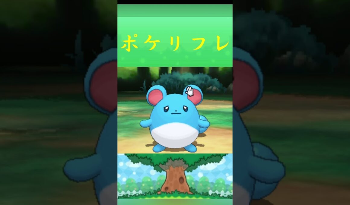 マリル*ポケモン ポケリフレ ポケパルレ #ポケモン #Pokemon  #3DS #nintendoswitch #ポケモンsv #ポケモン #キャンプ #カレー #サンドイッチ #ピクニック