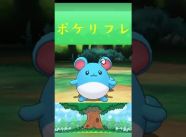 マリル*ポケモン ポケリフレ ポケパルレ #ポケモン #Pokemon  #3DS #nintendoswitch #ポケモンsv #ポケモン #キャンプ #カレー #サンドイッチ #ピクニック