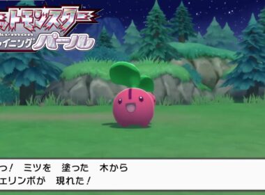 【#8】チェリンボってかわいいよね。ね？【ダイパリメイク】