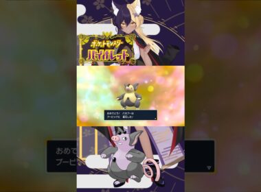 あーしのすきな色違いポケモン/ブーピッグ #pokemon #ポケモンsv #色違い #新人vtuber #vtuber
