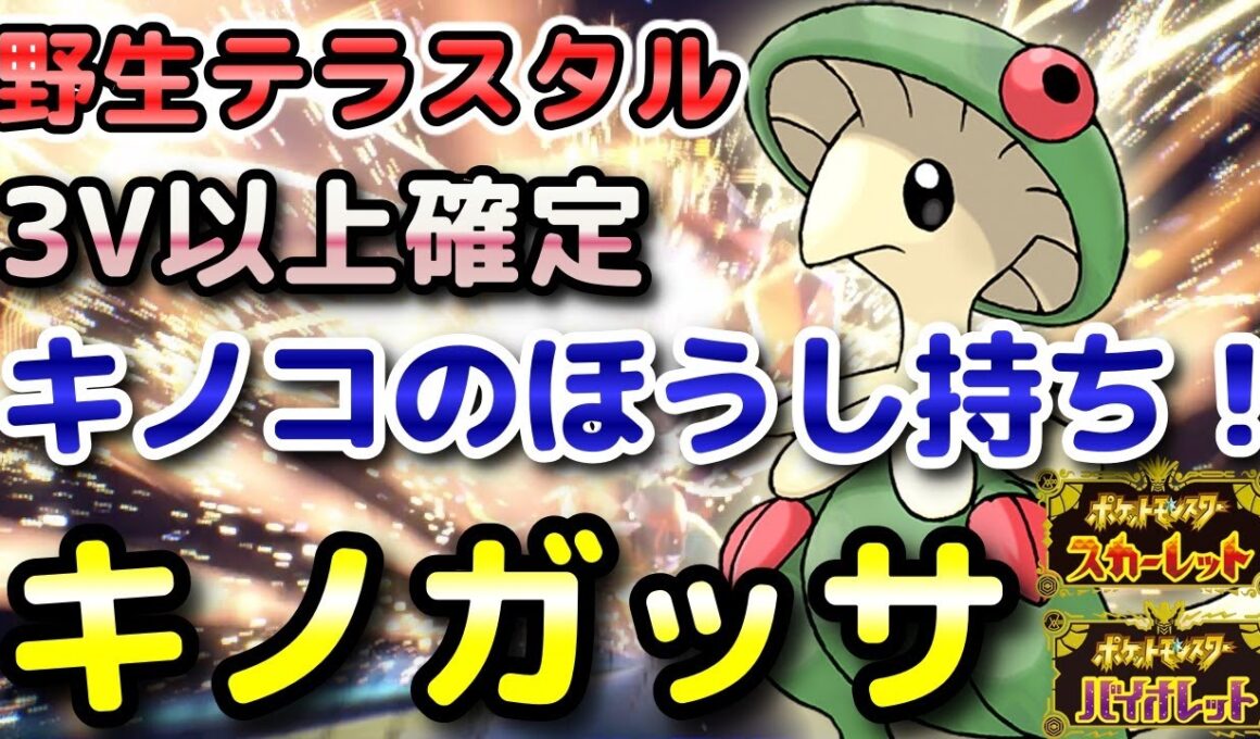【ポケモンSV】キノガッサ（野生テラスタル）入手方法！「キノコのほうし」持ち！固定シンボル出現場所！3V以上確定で育成しやすい！【スカーレット・バイオレット】