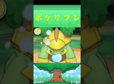 ハヤシガメ*ポケモン ポケリフレ ポケパルレ #ポケモン #Pokemon  #3DS #nintendoswitch #ポケモンsv #ポケモン #キャンプ #サンドイッチ #ピクニック