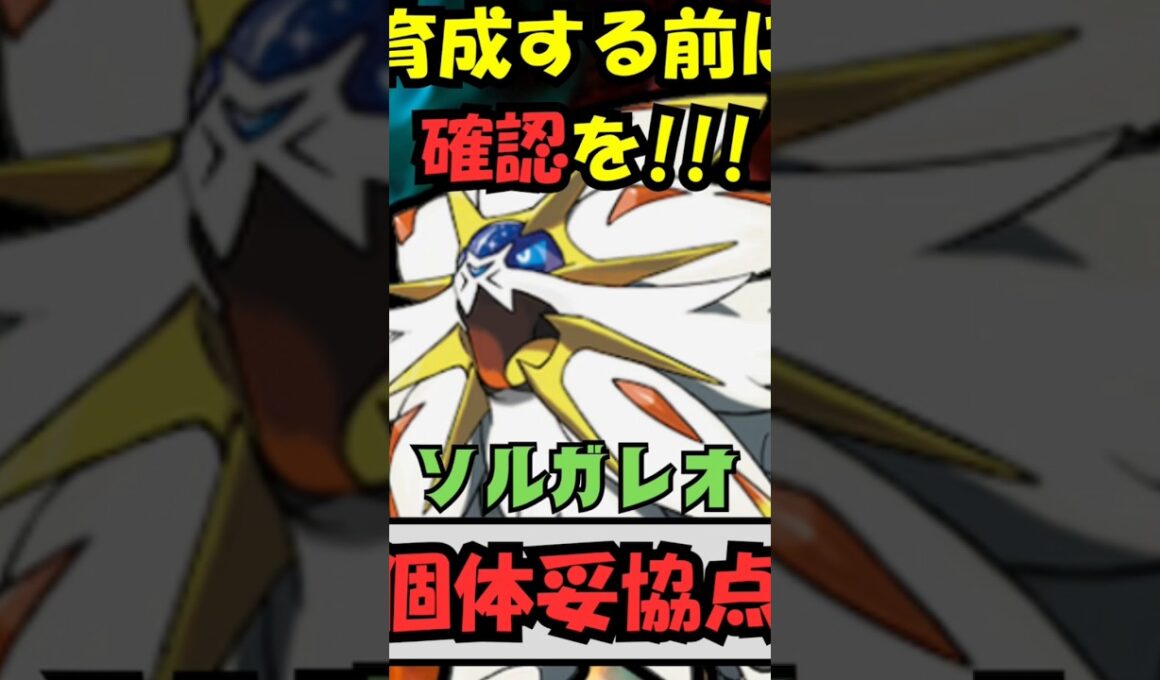 【見ないと損する】ソルガレオ個体値妥協点！