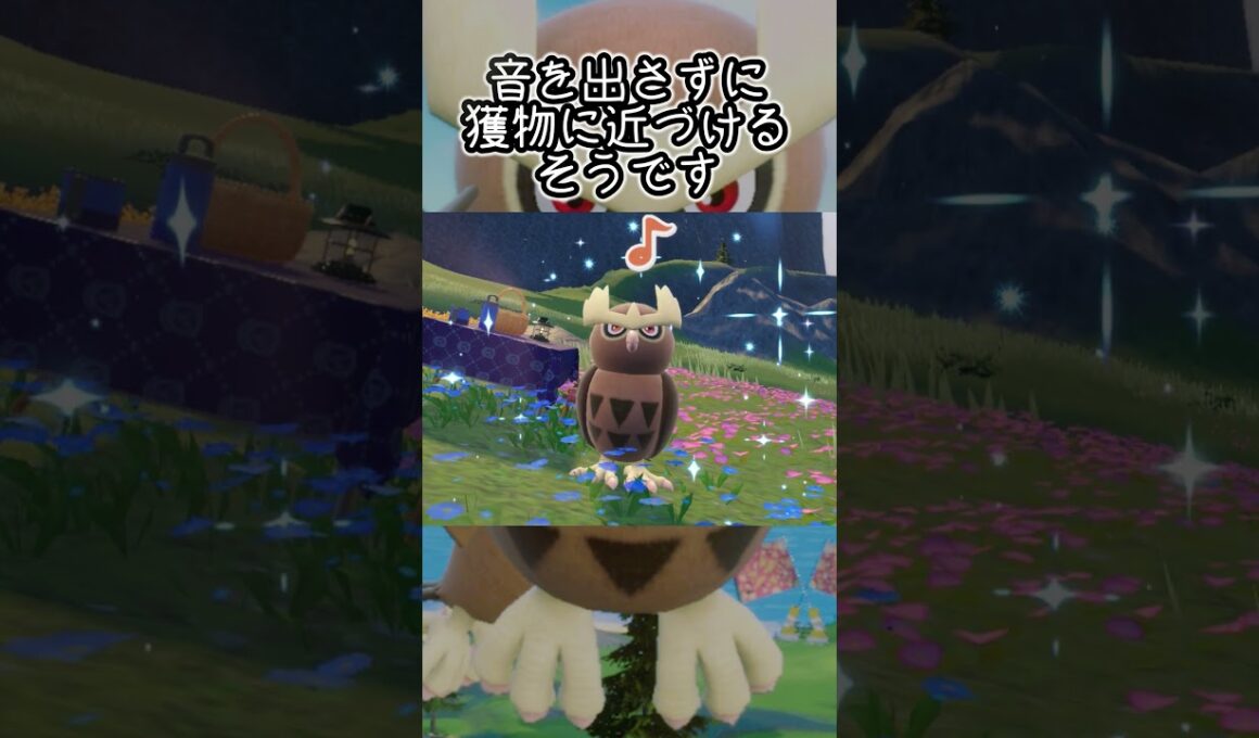 ヨルノズク6匹とピクニック【ポケモンSV】#Shorts