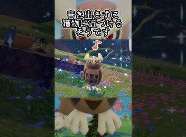 ヨルノズク6匹とピクニック【ポケモンSV】#Shorts