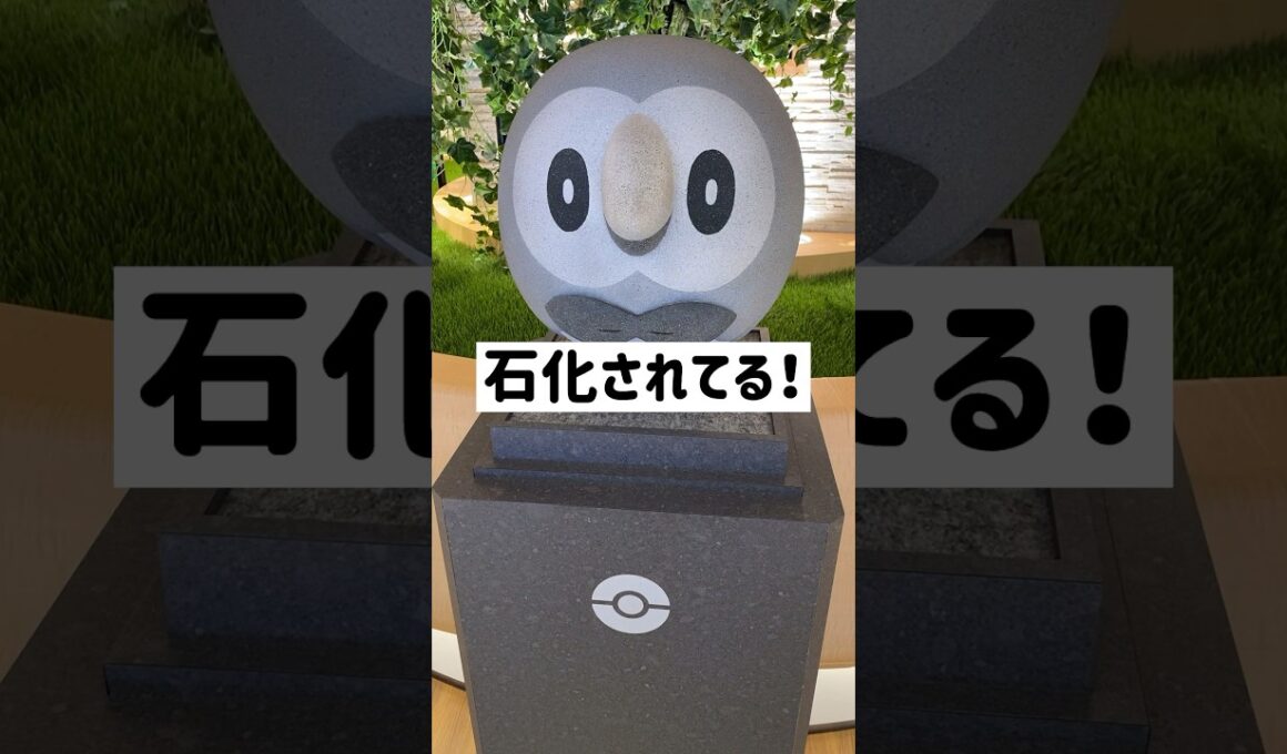 【衝撃】池袋のポケセンには石化したフクロウのポケモン（モクロー）がいる #ポケモン #ポケセン #モクロー #shorts