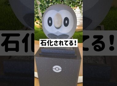 【衝撃】池袋のポケセンには石化したフクロウのポケモン（モクロー）がいる #ポケモン #ポケセン #モクロー #shorts