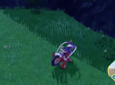 藍の円盤　ナエトル　色違い