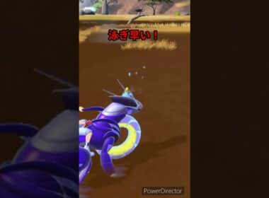 【ポケモンバイオレット】一生懸命泳いでるメッソンかわいい　#ポケモンバイオレット #ゲームリハビリ #切り抜き #shorts