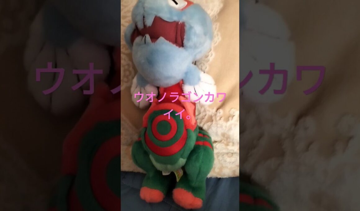 ウオノラゴンカワイすぎ。ポケモン人形