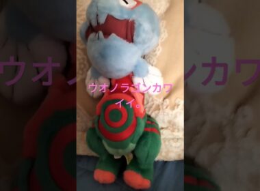 ウオノラゴンカワイすぎ。ポケモン人形