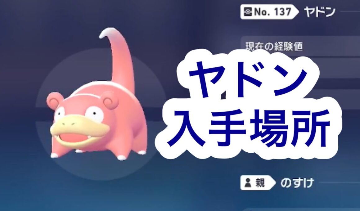 【ポケモンZA】ヤドン入手場所