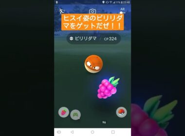 [ポケモンGO]ヒスイ姿のビリリダマをゲットだぜ！！ #shorts