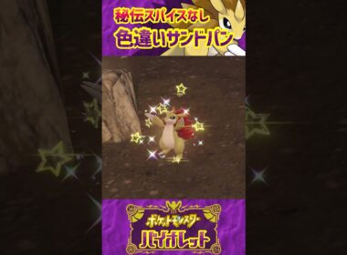 【ポケモンSV】秘伝スパイスなしでサンドパンの色違いをゲットするだけの動画 #Shorts