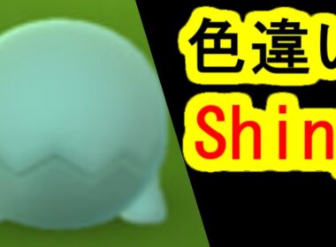 ナックラー色違いを入手(ポケモンGO、コミュニティデイ)