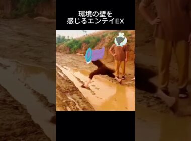 新パックのエンテイEXも強いんだけどね… #ポケポケ #ポケモン #新パック #スイクンEX #ライコウEX