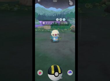 色違いミジュマルGET!!! #pokemon #pokemongo #ポケモン #ポケモンgo #shorts