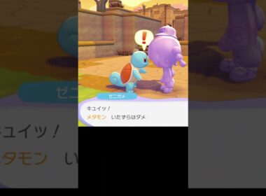 ゼニガメにこのは #ポケモン #ぽこあポケモン #ゼニガメ