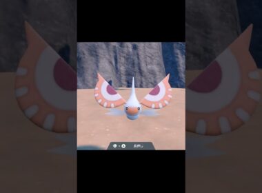 【アオガラス～アメモース】寝起きモーション集【ポケモンＳＶ】＃shorts