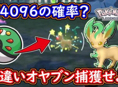 ポケモンZA 色違いリーフィアのオヤブン登場！フレンドボールで捕獲せよ！今作もオシャボ登場確定！ひかるおまもり無し！ポケモンレジェンズZA 攻略 【メイルス】