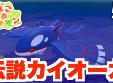 【ぽこポケ】伝説カイオーガ！？イワーク救助大作戦！part5【ぽこあポケモン】