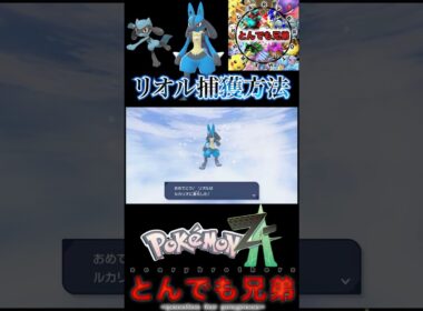 【ポケモンレジェンズZA】リオル捕獲方法！！　ルカリオへの効率的な進化方法も！！