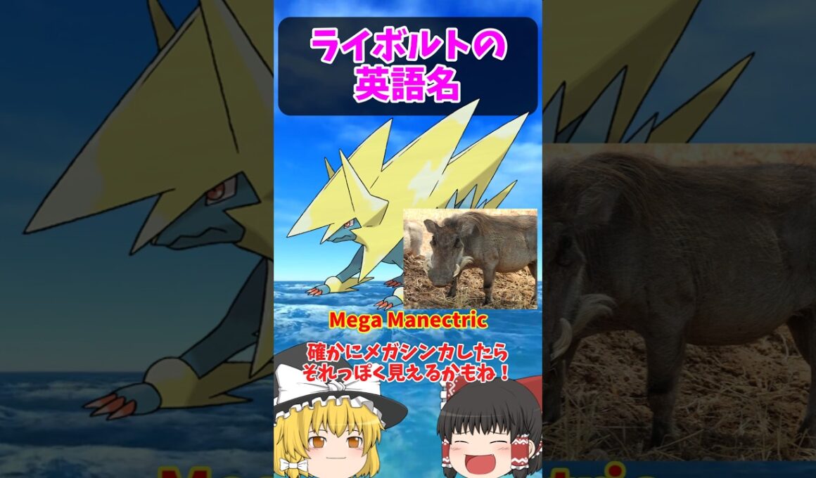 ハバタクカミとの共通点！ライボルトの英語名！