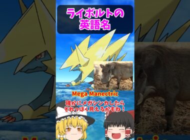ハバタクカミとの共通点！ライボルトの英語名！