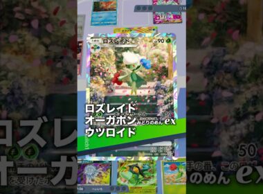 『ポケポケ』ロズレイド オーガポンex ウツロイド 最強 デッキレシピ Pokemon Pocket #ポケポケ #shorts