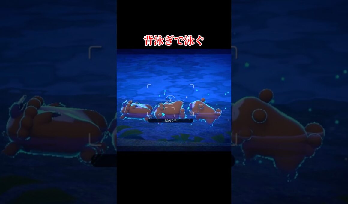 ビッパの生態に関するあれこれ#shorts #ポケモンスナップ #ポケスナ #ゆっくり実況 #でんどろ