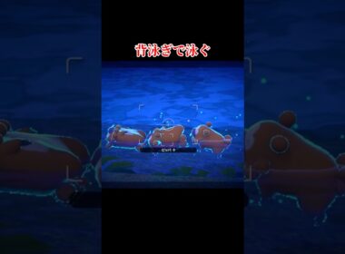 ビッパの生態に関するあれこれ#shorts #ポケモンスナップ #ポケスナ #ゆっくり実況 #でんどろ