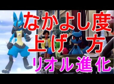 【ポケモンZA】なかよし度(なつき)上げ方リオル進化ルカリオ【レジェンズZA】攻略実況やすらぎの鈴