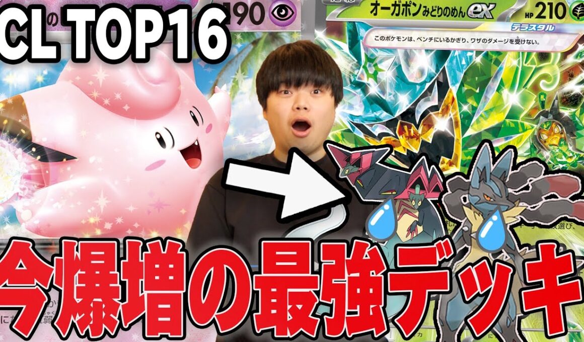 今激アツのピッピポン！環境TOPのルカリオとドラパルトに弱点でワンパン！オーガポンでエネ加速もできて速攻もできるのやばすぎる😱【ポケカ対戦】